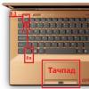 Как починить тачпад на ноутбуке